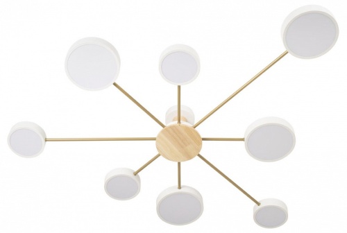 Потолочная люстра Loft it Sunrise 10316/8 White в Нижнем Новгороде фото 5