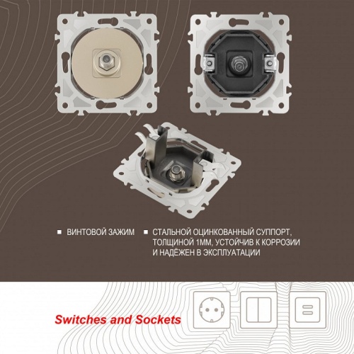 ТВ-розетка без рамки Arte Milano am-202 202.42-1.shampan в Нижнем Новгороде фото 2