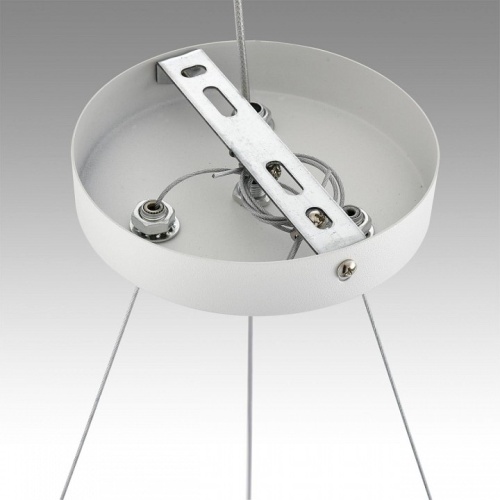 Подвесная люстра Lumion Luazana 8254/6 в Нижнем Новгороде фото 2