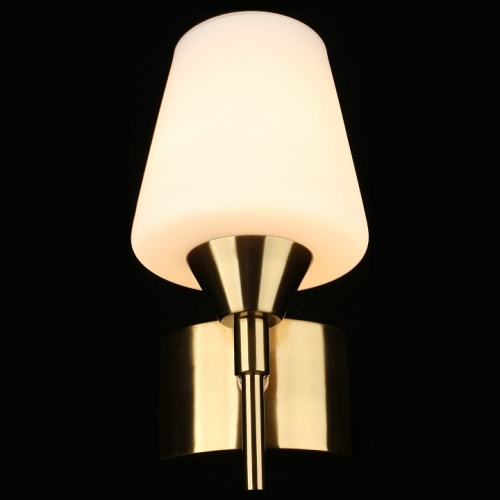 Бра Aployt Lyus APL.840.01.01 в Нижнем Новгороде фото 10