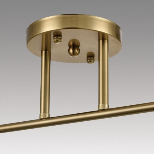 Светильник на штанге Lumion Vivian 8188/2C в Нижнем Новгороде фото 7