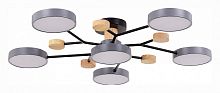Потолочная люстра EVOLUCE Faema SLE6006-702-06 в Нижнем Новгороде