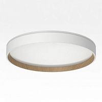 Накладной светильник Citilux ETALON CL750320R в Нижнем Новгороде