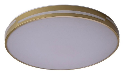 Накладной светильник Zortes Gabby ZRS.90610.50 в Нижнем Новгороде фото 11