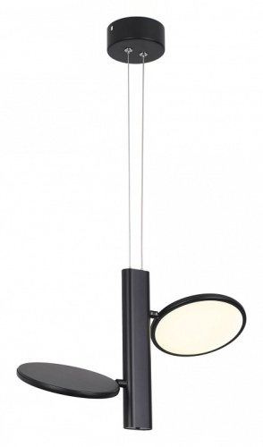 Подвесной светильник Lussole Aberdeen LSP-7084 в Нижнем Новгороде фото 6