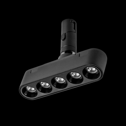 Светильник на штанге Lightstar DUE 267437 в Нижнем Новгороде фото 7