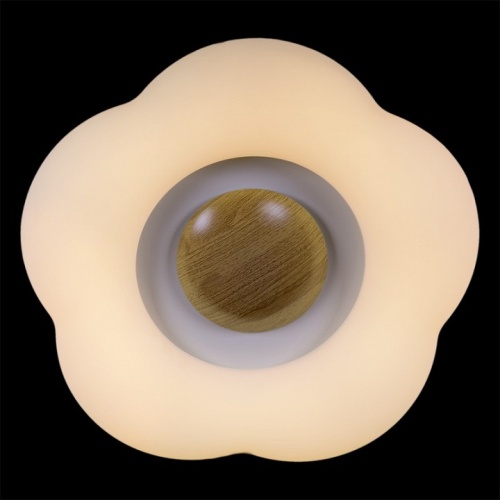 Накладной светильник 01014-0.3-01 WOOD в Нижнем Новгороде фото 3