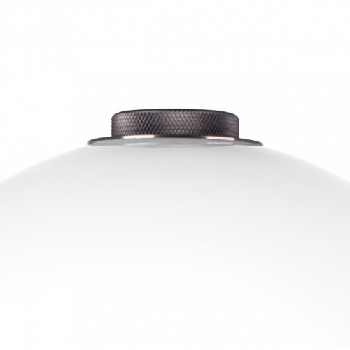 Настольная лампа декоративная Lightstar Colore 805916 в Нижнем Новгороде фото 5