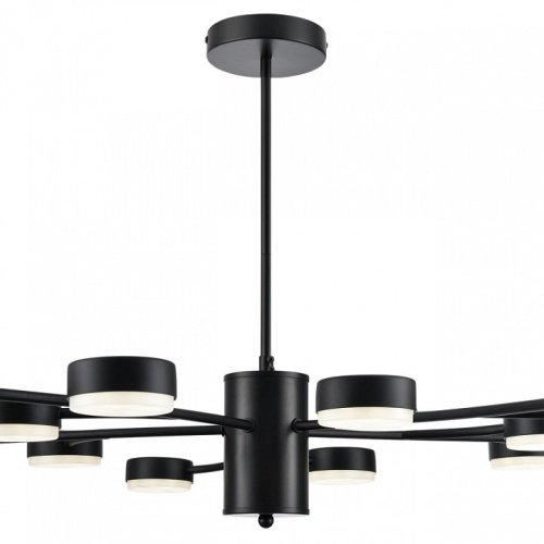 Люстра на штанге Lumion Torina 8117/15 в Нижнем Новгороде фото 9