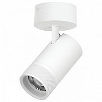 Спот Lightstar Canno Pro C4406SO в Нижнем Новгороде