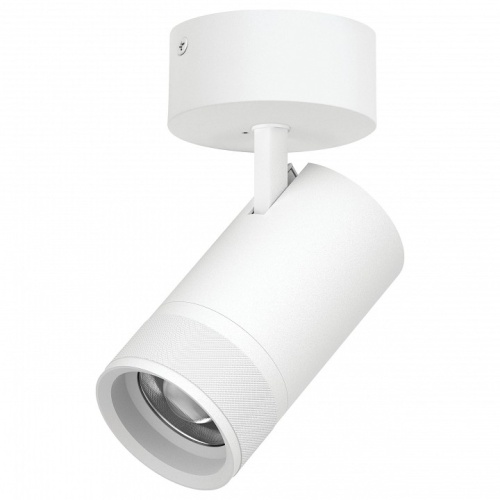 Спот Lightstar Canno Pro C4406SO в Нижнем Новгороде