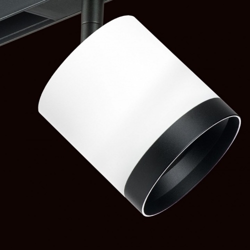 Светильник на штанге Lightstar Rullo PRO34863487 в Нижнем Новгороде фото 2