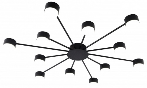 Потолочная люстра Rivoli Leona 3184-312 в Нижнем Новгороде