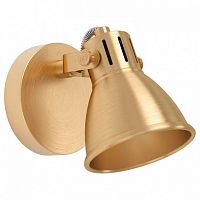 Спот Eglo Seras 900169 в Нижнем Новгороде