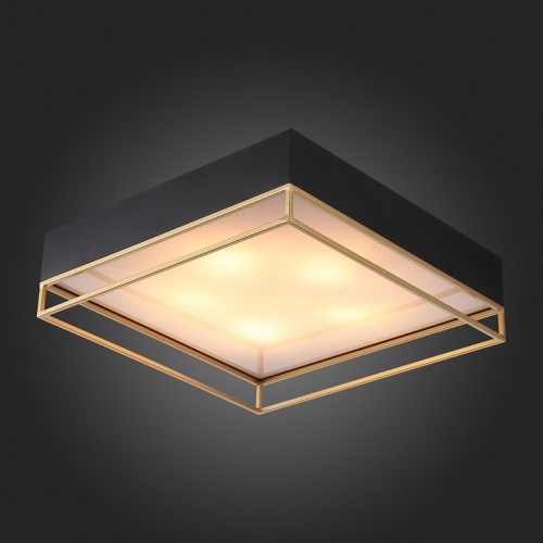 Накладной светильник ST-Luce Chodo SL1127.422.05 в Нижнем Новгороде фото 7