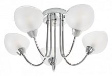 Люстра на штанге MyFar Ekaterina MR1291-5C в Нижнем Новгороде