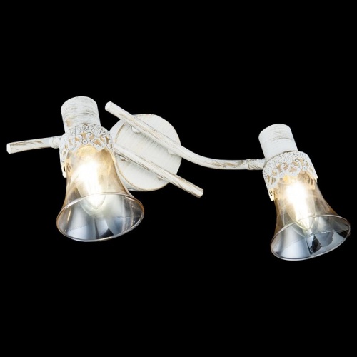 Спот Freya Susana FR7002WL-02WG в Нижнем Новгороде фото 2