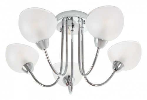 Люстра на штанге MyFar Ekaterina MR1291-5C в Нижнем Новгороде