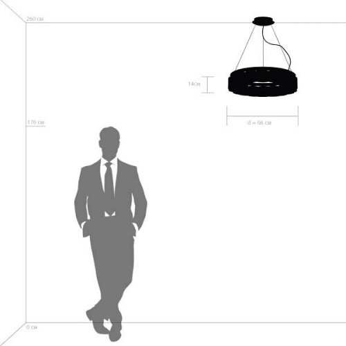 Подвесной светильник Lightstar Nibbler 812186 в Нижнем Новгороде фото 12