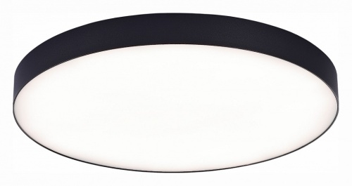 Накладной светильник ST-Luce ST606 ST606.442.96 в Нижнем Новгороде фото 4