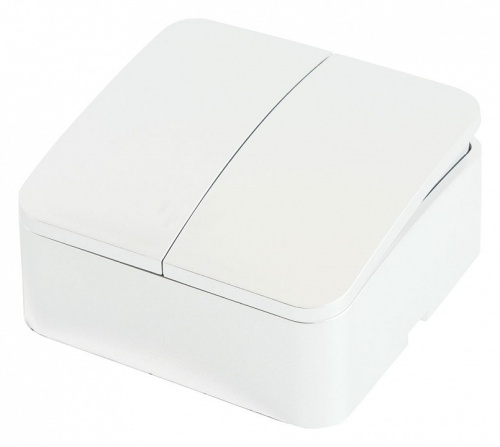 Выключатель двухклавишный Stekker София 49289 в Нижнем Новгороде