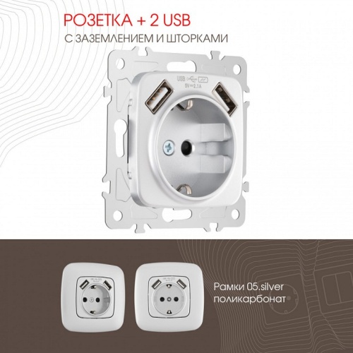 Розетка с заземлением и со шторкой и 2хUSB, без рамки Arte Milano am-205 205.47-1.silver в Нижнем Новгороде фото 4