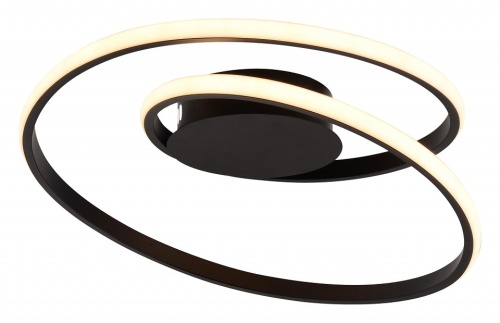 Накладной светильник Rivoli Nelly Б0062232 в Нижнем Новгороде фото 2