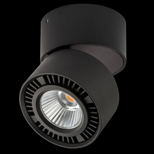 Накладной светильник Lightstar Forte Muro 214817 в Нижнем Новгороде фото 3