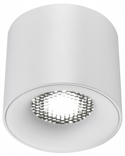 Накладной светильник ST-Luce ST761 ST761.533.10 в Нижнем Новгороде