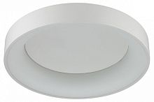 Накладной светильник Odeon Light Sole 4066/40CL в Нижнем Новгороде