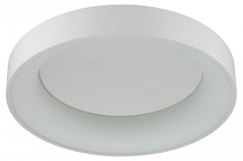 Накладной светильник Odeon Light Sole 4066/40CL в Нижнем Новгороде