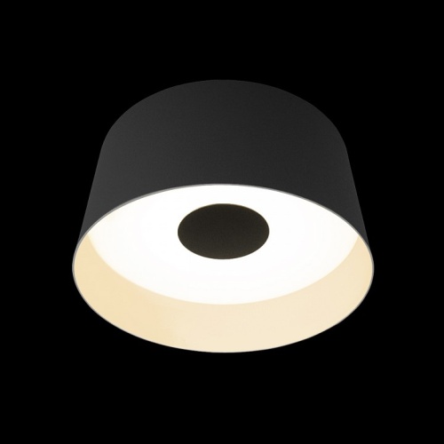 Накладной светильник Loft it Duo 10360M Grey в Нижнем Новгороде фото 3