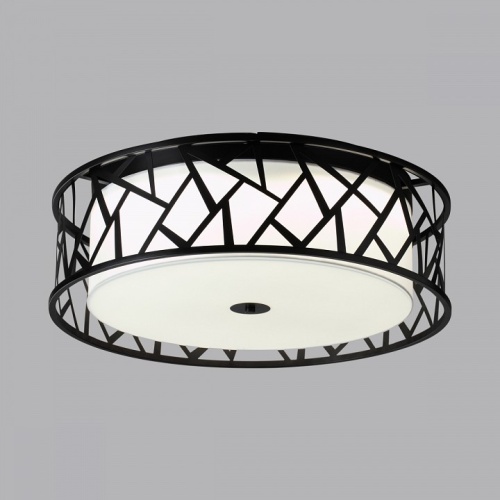 Накладной светильник Sonex Fabiana 7700/60L в Нижнем Новгороде фото 6