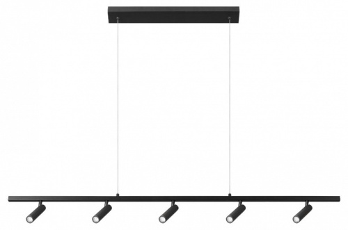 Подвесной светильник Loft it Sign 10260/5 Black в Нижнем Новгороде фото 6