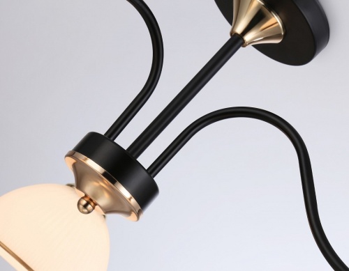 Люстра на штанге Ambrella Light TR TR3161 в Нижнем Новгороде фото 6