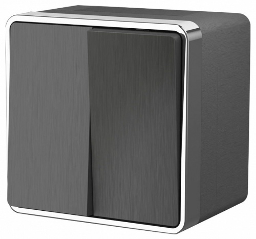 Выключатель двухклавишный влагозащищенный Werkel Gallant (графит рифленый) W5020204 в Нижнем Новгороде