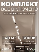 Комплект трековый Hesby Lighting Skylite №14 HSBL_kompl_S014_NI4W3K в Нижнем Новгороде