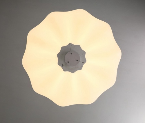 Подвесной светильник Zortes Soft ZRS.1119.02 в Нижнем Новгороде фото 11