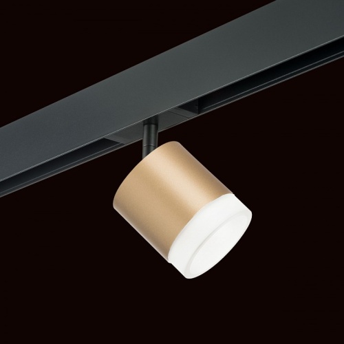 Светильник на штанге Lightstar Rullo PRO349080 в Нижнем Новгороде фото 4