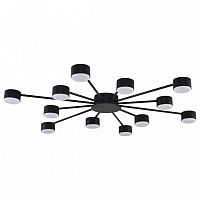 Потолочная люстра Lumion TORINA 8344/12C в Нижнем Новгороде