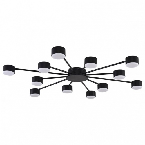 Потолочная люстра Lumion TORINA 8344/12C в Нижнем Новгороде