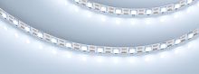 Лента RT 2-5000 12V Cx1 White6000 2x (5060, 360 LED, LUX) (Arlight, 15.6 Вт/м, IP20) в Ядрине