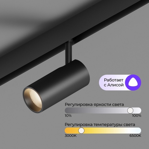 Светильник на штанге Hesby Lighting ElDeko HSBL_0238 в Нижнем Новгороде фото 7