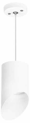 Подвесной светильник Lightstar Rullo RP348686 в Нижнем Новгороде фото 2