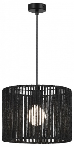 Подвесной светильник EVOLUCE ETTAN SLE6024-403-01 в Нижнем Новгороде фото 7