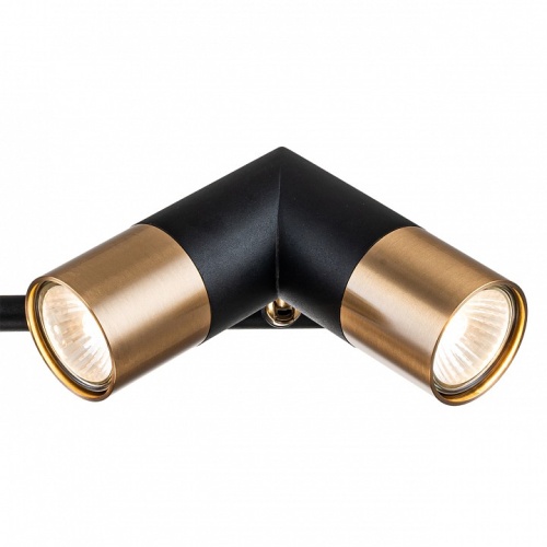 Люстра на штанге Indigo Doppio 11036/6R Black в Нижнем Новгороде фото 3