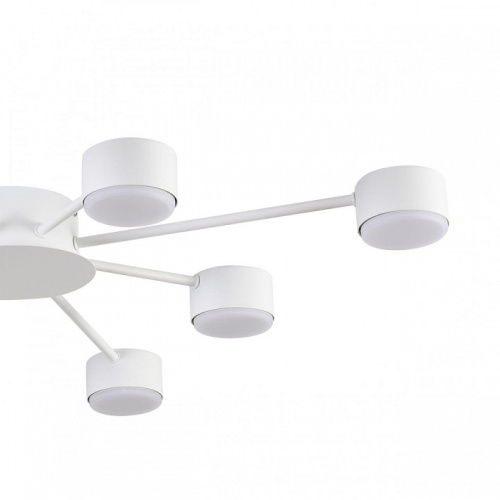 Потолочная люстра Lumion TORINA 8343/8C в Нижнем Новгороде фото 6