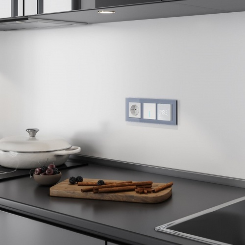 Выключатель одноклавишный с подсветкой без рамки Werkel серебряный W4510006 в Нижнем Новгороде фото 9