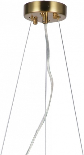 Подвесная люстра Favourite Philomela 3054-6P в Нижнем Новгороде фото 3