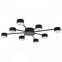 Потолочная люстра Lumion TORINA 8344/8C в Нижнем Новгороде